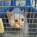 풍덕천로 이미지