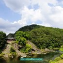 방호정민박 | 청송 방호정, 이런 절경 나만 몰랐네👀ㅣ청송 가볼만한곳ㅣ경북 여행ㅣ포항 가볼만한곳