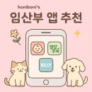임신 23주차, 요즘 자주 켜보는 임산부 앱 7가지 후기