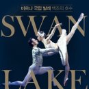 불가리아 바르나 국립발레 호두까기인형 이미지