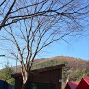 가자펜션 | 영월캠핑장 자연 속에서 제대로 힐링한 영월가자펜션&amp;캠핑장 후기