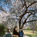 정담헤어 이미지