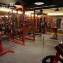 바디피플 이미지