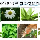 상인의료기 이미지