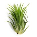 어울림어린이집 이미지