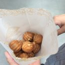 엘리 | 지하철로 천안 여행을 다녀왔다 (내일로)