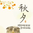 블링블링펫 이미지