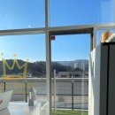 프랑테리 펫푸드 | 강아지수제간식 부산 프랑테리펫푸드