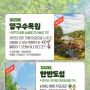 양구결혼정보 이미지