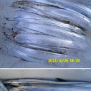 중화동-055 Daum카페