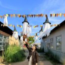 와우농장 | 고창 가볼만한곳 상하농원 방문기🐄동물농장·체험 후기