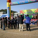 추산초등학교 Daum카페