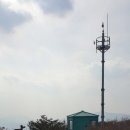 상목농장 Daum카페