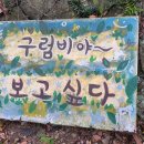 대천동 강정아왜낭목 네이버블로그