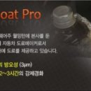 한프로썬팅
