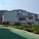 신호동 강서구 부산 네이버블로그