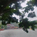 원명파크 이미지