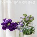 스노우폭스플라워건대