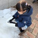 인스테이디자인