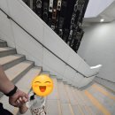 문자네 | 국립세계문자박물관 후기