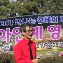 C0393 Daum카페
