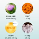 포 | 익스트림 올인원 포 맨 후기｜영양제 귀찮은 남성에게 맞는 이유