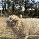 건지목장 이미지