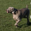 말랑말랑 이미지