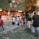 필프라이스 내일점 | 하와이1. 오하우 호텔 (퍼시픽 비치 호텔 팬트하우스?에 묶다)