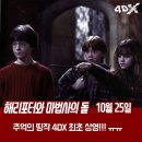 해리포터와 마법사의 돌 10월 4DX 재개봉 이미지