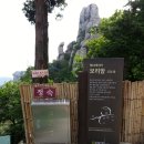 1박2일 이미지