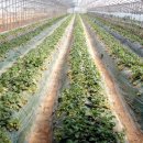 덕산기 농장 이미지