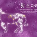 타로 점성술, 메이저 아르카나 The Hierophant(교황) 카드와 황소자리 이미지