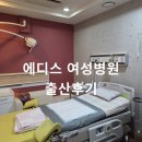 사하구-40 | 부산 사하구 에디스 여성병원 출산후기 1 / 40주 0일 초산모 유도분만 시도 제왕절개 엔딩 1~2일차