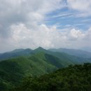 앵두식당 Daum카페