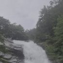 동산수도사