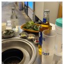 이배산숯불구이