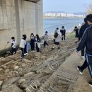 울산강남중학교 이미지