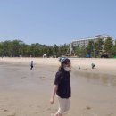 율포오토캠핑장 이미지