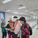 제1416회 안양천 뚝방기 걷기. 걷님들 사진. 이미지