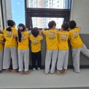 강한 태권도 이미지