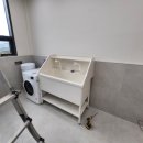 하트돌리 이미지