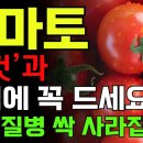 아침에 먹는 토마토의 효험 이미지