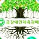 지성체육관 이미지