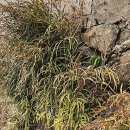 서대신역 이미지