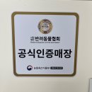 대구강아지분양도그패밀리