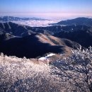 구본주스튜디오