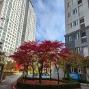 노은리슈빌3아파트경로당 이미지