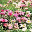 건강한방병원 이미지