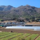 옥강보건진료소 이미지